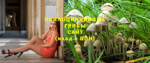 гидропоника Нягань