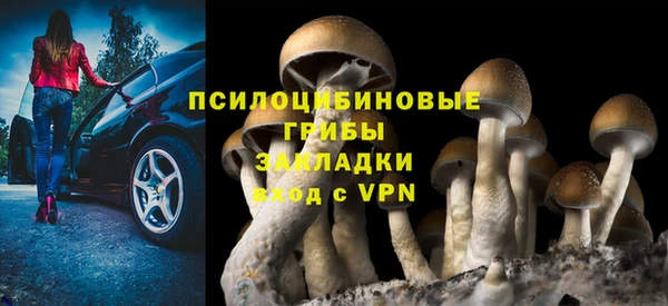 ALPHA-PVP Нязепетровск