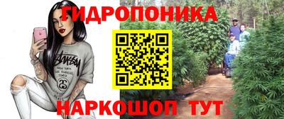 дмт Заводоуковск