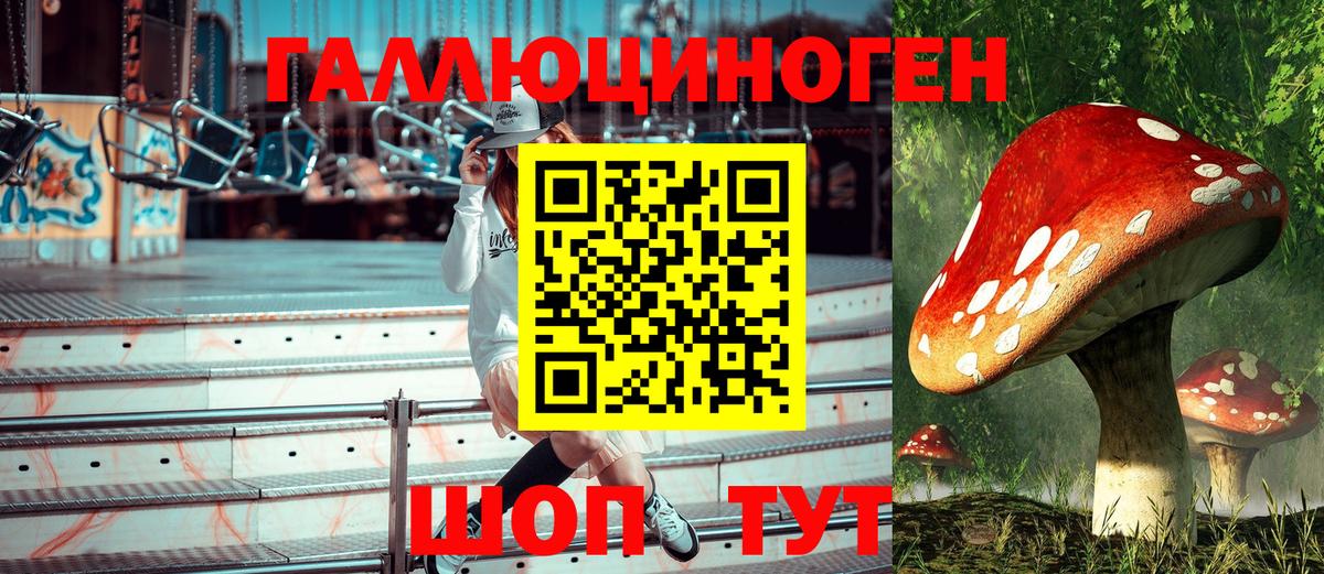 Галлюциногенные грибы Magic Shrooms Саратов